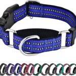 Martingale Collar for Dogs,Reflective Escape Proof,Blue,M