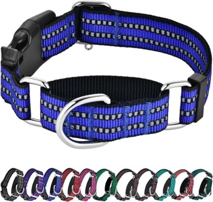 Martingale Collar for Dogs,Reflective Escape Proof,Blue,M