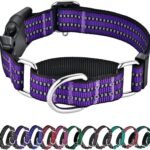 Martingale Collar for Dogs,Reflective Escape Proof,Purple,M