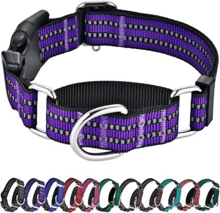 Martingale Collar for Dogs,Reflective Escape Proof,Purple,M