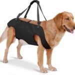 Mayerzon Full Body Dog Lift Harness, Support Senior & Disabled Dogs Walking