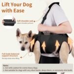 Mayerzon Full Body Dog Lift Harness, Support Senior & Disabled Dogs Walking - Image 2