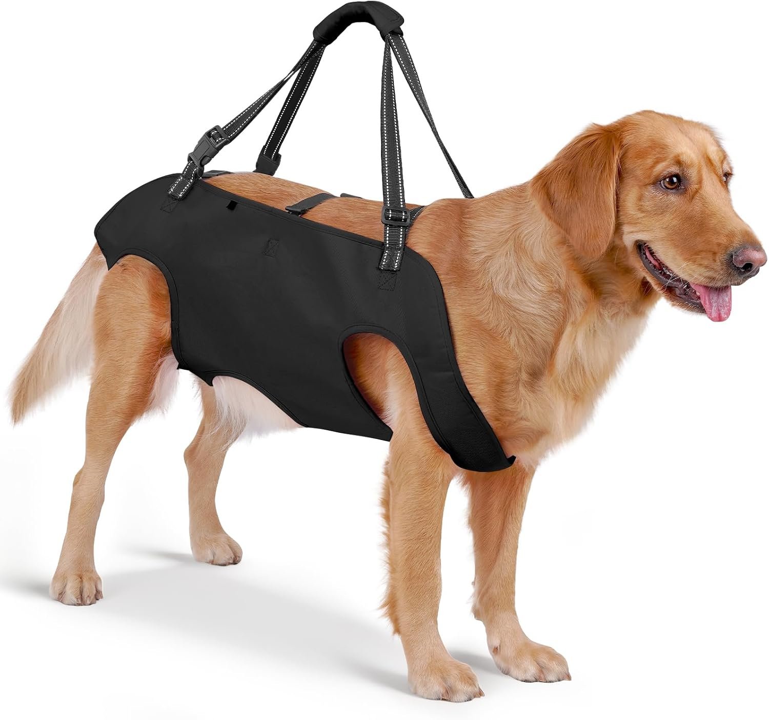 Mayerzon Full Body Dog Lift Harness, Support Senior & Disabled Dogs Walking Mayerzon Full Body Dog Lift Harness, Support Senior & Disabled Dogs Walking