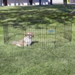 MidWest 18-Inch Exercise Pen, No Door, 16 Sq Ft Play Area - Image 2