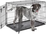 Midwest 36-Inch Double Door iCrate, for Medium-Large Breeds, 41-70 lbs