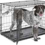Midwest 36-Inch Double Door iCrate, for Medium-Large Breeds, 41-70 lbs