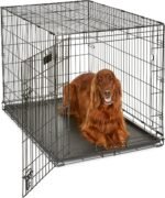 Midwest 42-Inch Single Door iCrate, for Large Breeds, 71-90 lbs