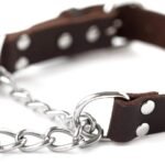 Mighty Paw Martingale Dog Collar – No Pull Design – Stainless Steel Chain – Limited Chain Cinch Training – Brown Leather Martingale Training Collar – Large Size