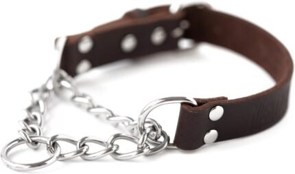 Mighty Paw Martingale Dog Collar - No Pull Design - Stainless Steel Chain - Limited Chain Cinch Training - Brown Leather Martingale Training Collar - Large Size
