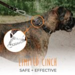 Mighty Paw Martingale Dog Collar - No Pull Design - Stainless Steel Chain - Limited Chain Cinch Training - Brown Leather Martingale Training Collar - Large Size - Image 2