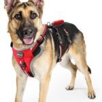Mihachi Escape Proof Dog Harness – No Pull Dog Harness with Handle, Soft Padded Reflective and Adjustable Full Body Pet Harness Vest for Medium Large Dogs Walking Hiking Training, Red Large
