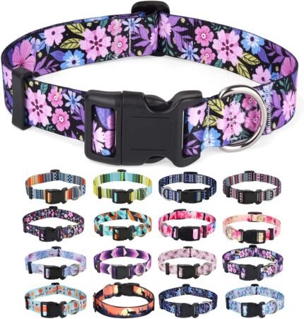 Mihqy Dog Collar for Medium Dogs, Fashion Design, Floral Pink,M