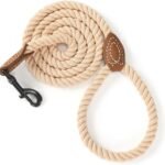 Mile High Life Dog Leash Braided Cotton Rope with Leather-Reinforced Ends