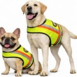 Miyake Reflective Dog Vest, High Visibility Dog Safety Vest for Night Walking, Dog Hunting Vest for Outdoor, Hi-Vis Fluorescent Yellow