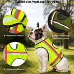 Miyake Reflective Dog Vest, High Visibility Dog Safety Vest for Night Walking, Dog Hunting Vest for Outdoor, Hi-Vis Fluorescent Yellow - Image 2