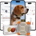 Molly&Cody Smart Dog & Cat GPS Tracker, 4 Smart Modes Real-Time Pet Tracker with Custom Virtual Fence IP67 Waterproof Location History & 365-Day Health Data Monitoring, Subscription Required