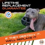 Monster K9 Ring Ball - for Toughest Chewers, Natural Rubber Dog Toy, 5.5 in - Image 2