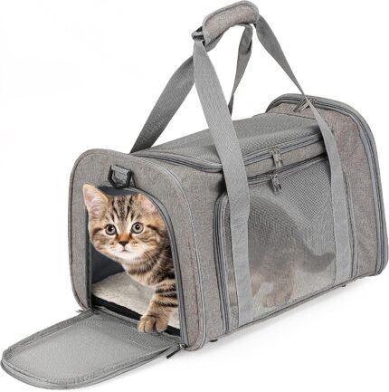Mr. Pen- Pet Carrier, 17.5" x 11.2" x 11.5", Medium Size, Gray