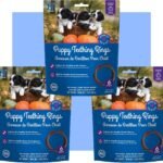 N-Bone Puppy Teething Rings Pumpkin Flavor 6 Count Bag Multi Pack, Total 3 Bags, 21.6-oz (18 Rings)