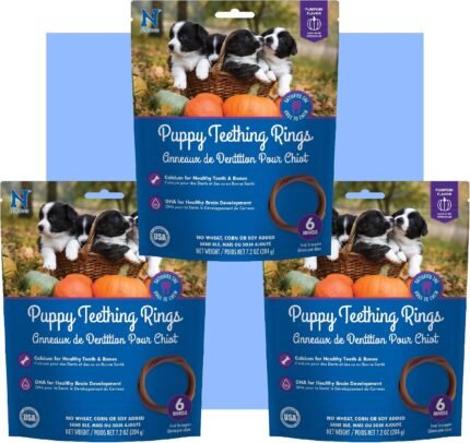 N-Bone Puppy Teething Rings Pumpkin Flavor 6 Count Bag Multi Pack, Total 3 Bags, 21.6-oz (18 Rings)