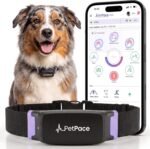 NEW Dog Health Monitor V3.0 by PetPace – AI Smart Collar with 24/7 Vital Signs, Pain & GPS Tracking, Telehealth AskaVet & Share With Your Vet, Smartwatch Sync – Subscription Required (Large)
