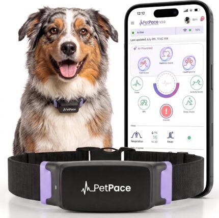 NEW Dog Health Monitor V3.0 by PetPace – AI Smart Collar with 24/7 Vital Signs, Pain & GPS Tracking, Telehealth AskaVet & Share With Your Vet, Smartwatch Sync – Subscription Required (Large)