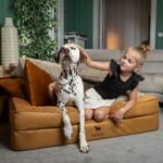NOAH & PAW Large Dog Bed, Orthopedic Memory Cooling Foam (2X Base) 45x35x11 - Image 2