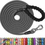 NTR Heavy Duty Dog Leash, Black 10MM 15FT Training Leash with Swivel Lockable Hook and Comfortable Padded Handle, Dog Lead for Walking, Hunting, Camping, Backyard for Small Medium and Large Dogs