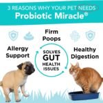 NUSENTIA Probiotics for Dogs -(360 Scoops)-Probiotic Miracle -Advanced, Species Specific Probiotics and Prebiotics to Stop Diarrhea, Loose Stool, and Yeast-Plus Immune Support - Image 2