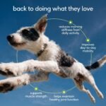 Native Pet Hip & Joint Advanced Care Dog Joint Supplement Powder for Mobility & Movement Support, Joint Supplement for Dogs with HMB, UC-II Collagen, Green Lipped Mussel & Hyaluronic Acid – 30 Scoops - Image 2