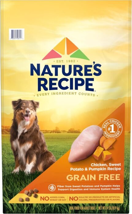 Nature’s Recipe Grain Free Chicken Dry Dog Food, 24 lb. Bag