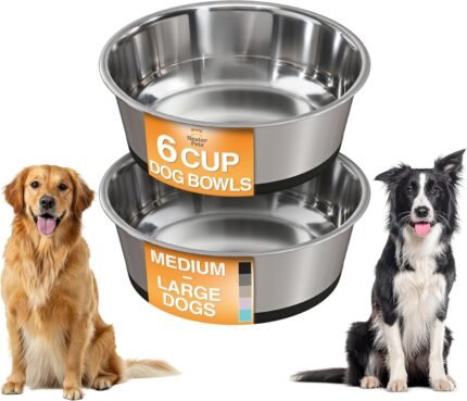Neater Pet Brands Stainless Steel Dog Bowls with Non-Slip Rubber Bottom – Set of 2, 6 Cup (48 oz), Black - Heavy Duty Metal Dog Bowl, Dishwasher Safe, Food or Water Bowl, Ideal for Large Dogs