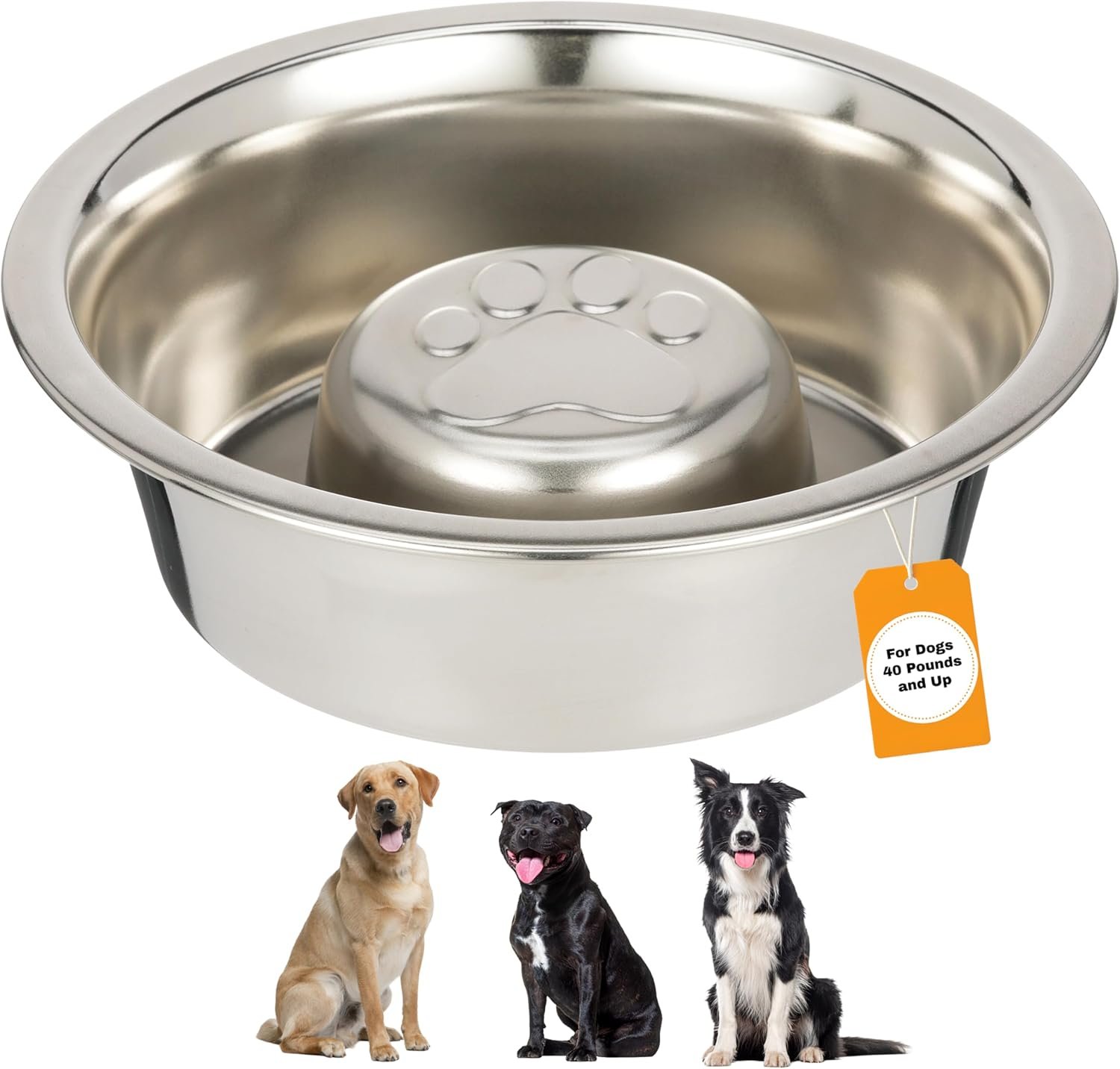 Neater Pet Brands Stainless Steel Slow Feed Dog Bowl for Fast Eating Large Breed, Metal Slow Feeder Dog Bowl Fits in Large Neater Feeders, for Puppy or Dogs (>40 lbs), 3 Cup Food Capacity Neater Pet Brands Stainless Steel Slow Feed Dog Bowl for Fast Eating Large Breed, Metal Slow Feeder Dog Bowl Fits in Large Neater Feeders, for Puppy or Dogs (>40 lbs), 3 Cup Food Capacity