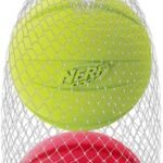 Nerf Dog Classic Squeak Ball Outdoor Dog Toy, 3.8 Inch Dog Ball Fetch Toy, Squeaking Toy for Medium and Large Breeds, Green/Red, 2 Count