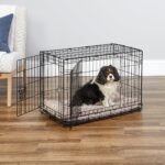 New World by Midwest 30-Inch Double Door Crate, Medium Breeds, 21-40 lbs - Image 2