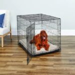 New World by Midwest 42-Inch Single Door Crate, for Large Breeds, 71-90 lbs - Image 2
