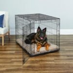 New World by Midwest 48-Inch Single Door Crate, XL Breeds, 90-110 lbs - Image 2