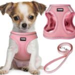 No Pull Dog Puppy Harness and Leash Set Reflective Mesh Vest X-Small