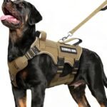 No Pull Tactical Dog Harness and Leash Set,10 Patches Brown M
