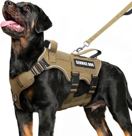 No Pull Tactical Dog Harness and Leash Set,10 Patches Brown M