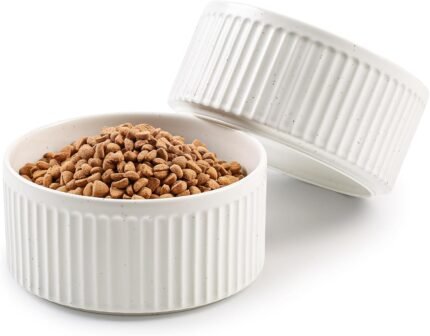 Non-Slip Ceramic Dog Bowls,6" Dog Food and Water Bowl Set with Silicone Base, 32oz/4cups Weighted Flip-Proof Pet Feeding Bowl for Medium Dogs (Medium,White)