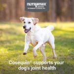 Nutramax Cosequin Dog Joint Supplement, MSM & HA, Chewable Tablets, 75ct - Image 2