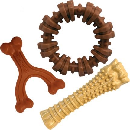 Nylabone Power Chew Customer Favorites Dog Chew Toys, 3 Count, Large