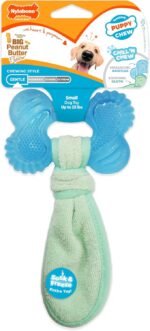 Nylabone Puppy Chew 2-in-1 Teething Freezer Bone Dog Chew Toy, Small