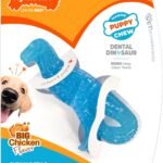 Nylabone Puppy Chew Dental Dinosaur Dog Chew Toy, Chicken Flavor, Small