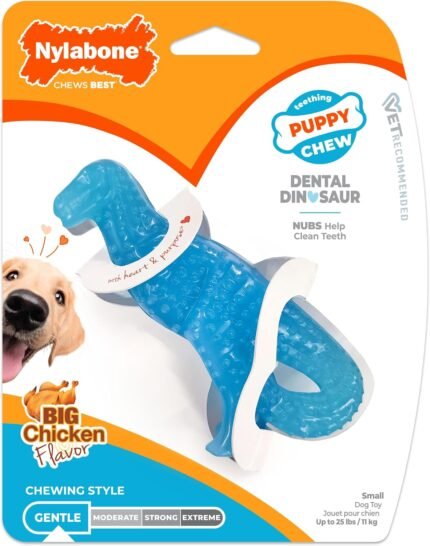 Nylabone Puppy Chew Dental Dinosaur Dog Chew Toy, Chicken Flavor, Small
