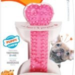 Nylabone Puppy Chew Pink Textured Teething Dog Bone, X-Small