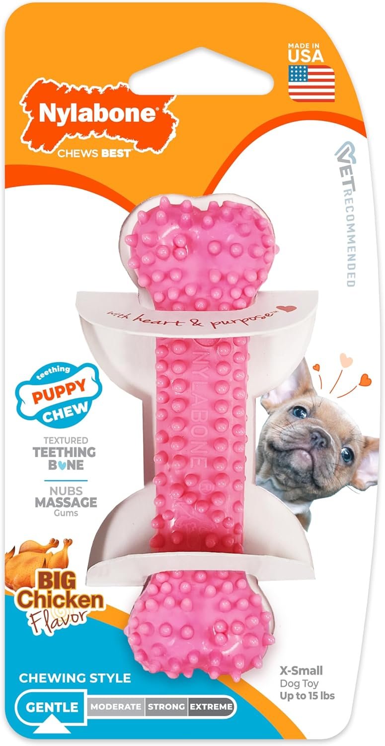 Nylabone Puppy Chew Pink Textured Teething Dog Bone, X-Small Nylabone Puppy Chew Pink Textured Teething Dog Bone, X-Small