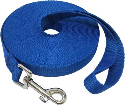 Nylon Training Dog Leash for Small Medium Large Dogs, 15ft 20ft 30ft 50ft Long Leash Dog/Puppy Lead for Obedience Recall Training, Camping (30ft, Blue)