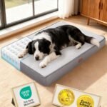 OhGeni Orthopedic M-L Dog Bed, Reversible Memory Foam,36 inch(Gray)